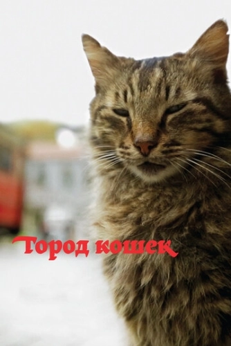 Город кошек () смотреть онлайн