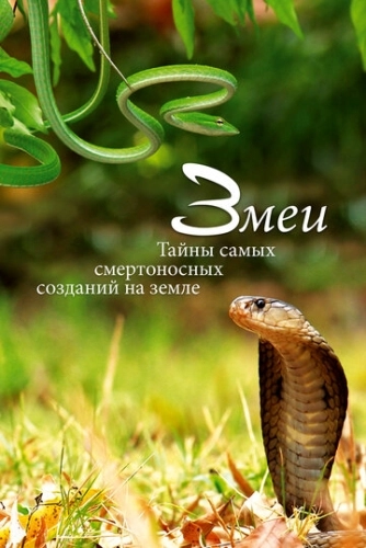 Змеи. Тайны самых смертоносных созданий на земле () смотреть онлайн